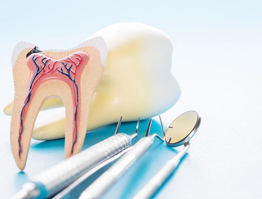 Inside of a tooth mold for root canal in Phoenix